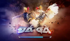 Đá Gà 3D Tại Cat368