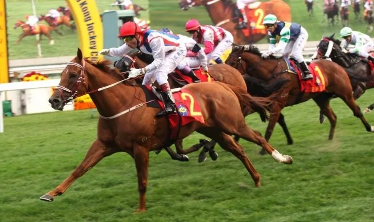 Khám Phá Kịch Tính Cá Cược Đua Ngựa Cat368 Đỉnh Cao Thắng Lớn 2 Cần tìm hiểu về bộ môn đua ngựa Cat368 trước khi tham gia cá cược